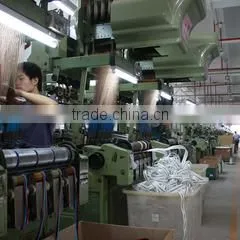 Shenzhen Gacent String & Webbing Co., Ltd. company overview - view 3 thumbnail