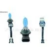 Halogen Light HOD-9005 thumbnail-1