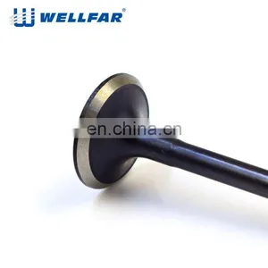 Japanese Passenger Car Intake Valve and Exhaust Valves for Honda Hyundai Mazda Mitsubishi Nissan Toyota thumbnail-1