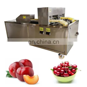 Apple Coring Machine Apple Nucleation Machine thumbnail-3