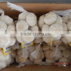 Garlic thumbnail-5