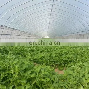 High Quality HDPE Fruit Tree Anti-insect Net 40 Mesh for Vegetable Gardens thumbnail-5