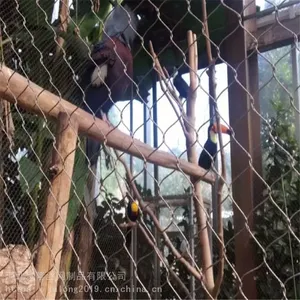 Zoo-Grade Aviary Netting With Anti-Entanglement Design for Large Birds thumbnail-4