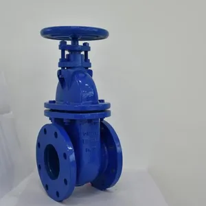 Low Leakage BS Flanged Gate Valve Rising Stem Resilient Seat PN10 thumbnail-5
