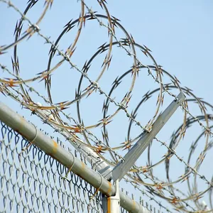 Hot Selling BTO-22 Type Galvanized Razor Wire Fence Garden Anti-Concertina Barbed Wire at an Attractive Price thumbnail-5