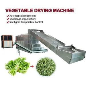 Industrial Automatic Mesh Belt Celery Dryer Machine Vegetable Leek Spinach Parsley Dehydrator Drying Processing Plant Set EPC thumbnail-1