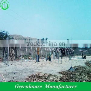 Vegetables Polytunnel Green House thumbnail-1