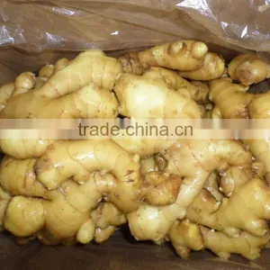 Fresh Ginger 2015new Crop thumbnail-6