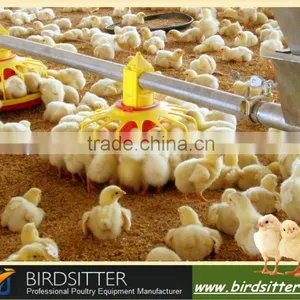 For Bird Farm House Good Quality Cheap Feeder thumbnail-1