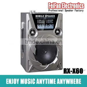 Top Sale 6.5 Inch Amplifier Speaker With Fm Radio thumbnail-1