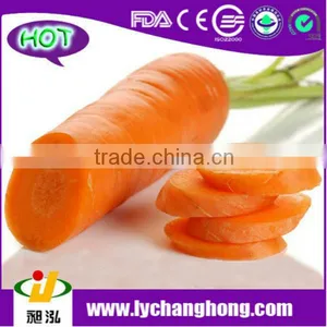 Chinese New Crop High Quality 80-150g Fresh Carrot thumbnail-1