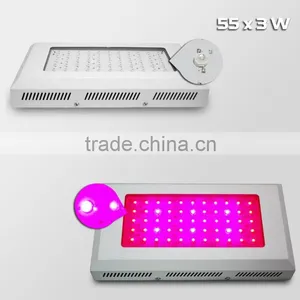 2013 New Product 55*3W LED Grow Lights thumbnail-1