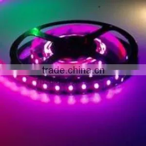 High Quality Smd 5050 Strip Led Light Les Super Brightness thumbnail-2