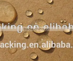 Waterproof Carton Box for Packing Frozen Chicken thumbnail-2