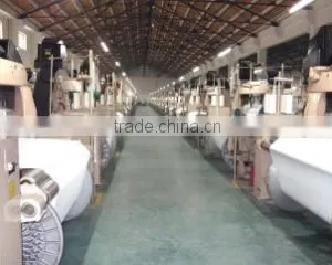 Wujiang Tanqiu White Dragon Bridge Spraying And Weaving Factory company overview - view 2 thumbnail