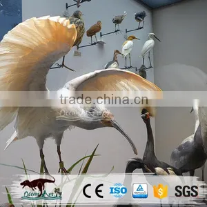 Life Size Animatronic Bird thumbnail-4