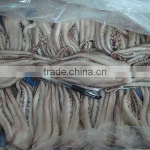 Frozen Squid Tentacle thumbnail-1