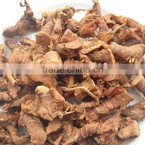 Guangdong Natural Galangal Roots thumbnail-1