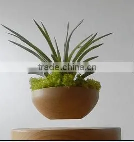 Low Price Levitating Pots for Plant Flower Pots thumbnail-4