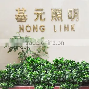 Foshan HongLink Lighting Co., Ltd. company overview - view 1 thumbnail