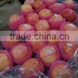 Chinese Fuji Apple thumbnail-2