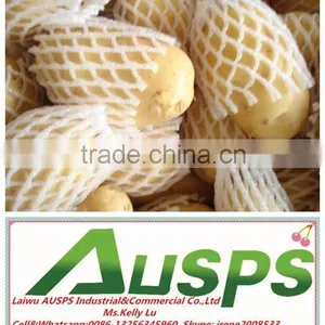 China Yellow Fresh Potato Price thumbnail-2