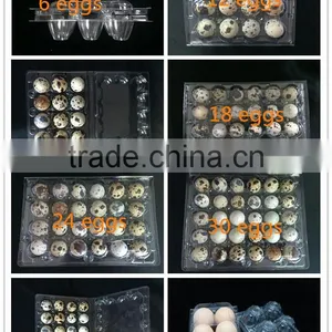 2016 Hot-sales and Lowest Price Quail Egg Packaging Tray for Quail Eggs thumbnail-1
