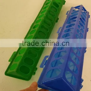 Poultry Feeding Troughs for Quail,pigeon thumbnail-4