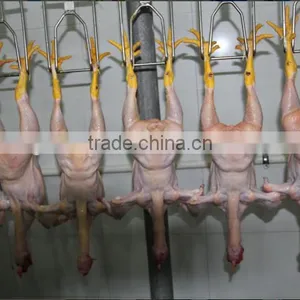 Poultry Abattoir Equipment From China thumbnail-1