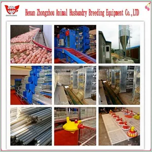 Professional Automatic Chicken Cage for Poultry Chicken Farm thumbnail-4