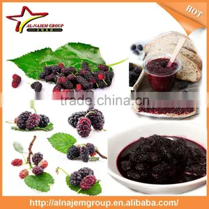 Mulberry Paste Making Production Line High Viscosity Liquid Filling Machine thumbnail-4