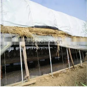 200mic Black and White PE Greenhouse Film for Poultry Cultivation thumbnail-1