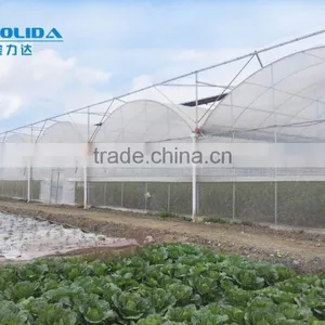 Arc Multi Span Polyethylene Greenhouse PE Film Greenhouse for Tomato Cucumber Flower Horticulture thumbnail-2