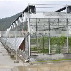Easily Assembled Commercial Glass Greenhouse With Best Price thumbnail-1