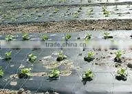 Agricultural LDPE Sheeting thumbnail-1