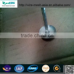 Hot Sales Polished Common Nail Roofing Nails Screw Shank Nail With Washer thumbnail-3