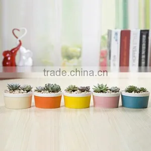 2016 New Special Design Indoor Small Colorful Ceramic Planter thumbnail-1