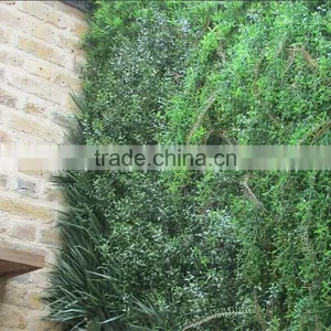 Vertical Garden Green Plants Wall,green Wall Backdrop thumbnail-4