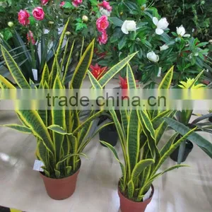 SJ GN 56 Artificial Sansevieria Plants thumbnail-1