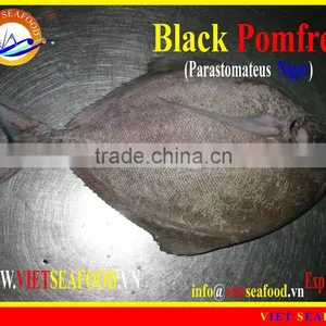 FROZEN BLACK POMFRET W/R thumbnail-1