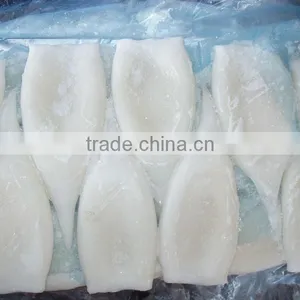 Loligo Squid Tube thumbnail-1