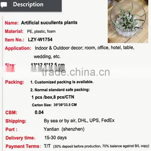 Artificial Preserved Succulents Artificial Potted Mini Succulent Plants Hot Sale Artificial Potted Plants thumbnail-2