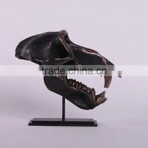 Chacma Baboon Skull on Base thumbnail-1