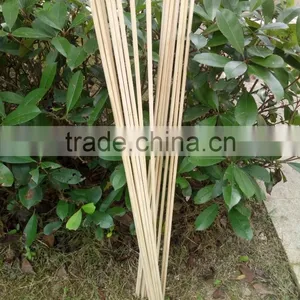Archery Wood Arrows Cedar 80cm Dia9mm Wooden Arrow Shaft thumbnail-1