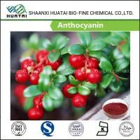 Weight Loss Powder Bilberry Extract 25% Anthocyanins With Best Price thumbnail-1