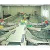 Conveyors thumbnail-1