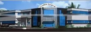 Credible Surgical (private) Limited company overview - view 1 thumbnail