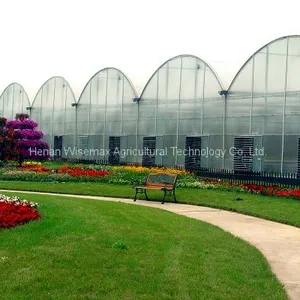 Large Size Plastic Film Multi Span Agricultural Greenhouses thumbnail-1
