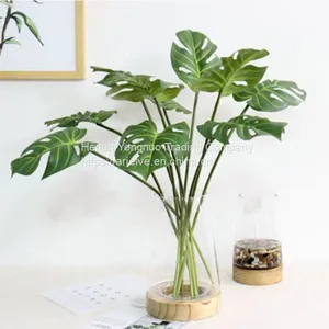 High Quality Artificial Plant Photography Props Real Touch Latex Turtle Leaf thumbnail-1