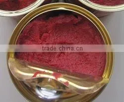 Brix 28-30% Canned Tomato Paste 400g thumbnail-1